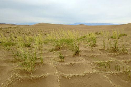 最新沙漠爆料消息新闻报道,揭秘神秘古文明遗址  第2张
