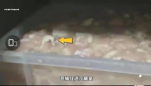 华莱士最新爆料,揭秘娱乐圈惊人内幕