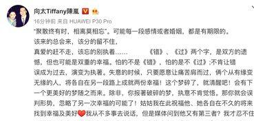 向太最新爆料,娱乐圈不为人知的真相大揭秘 第2张 向太最新爆料,娱乐圈不为人知的真相大揭秘 第2张